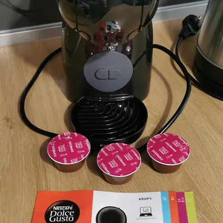 Sunflower * 소피아