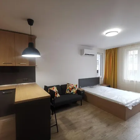 Sunflower * 소피아