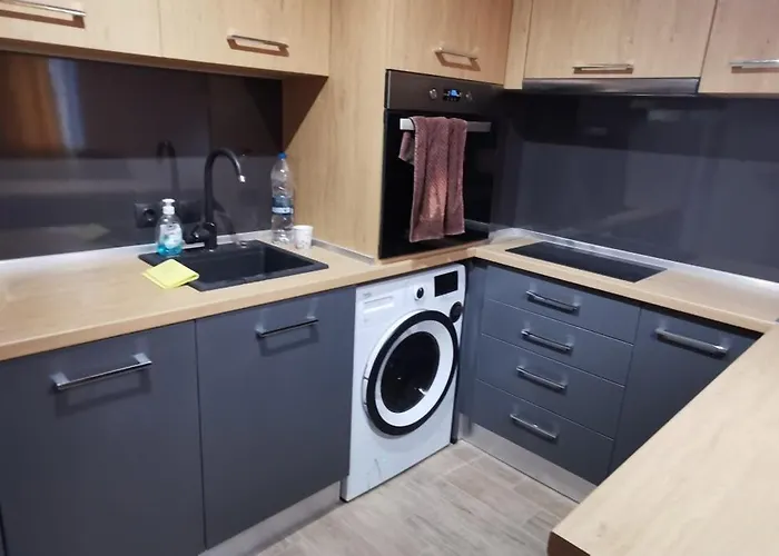 Sunflower ソフィア