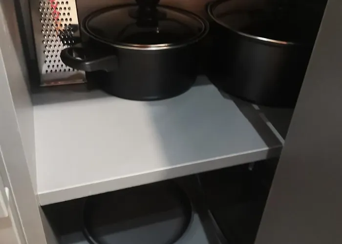 Sunflower ソフィア