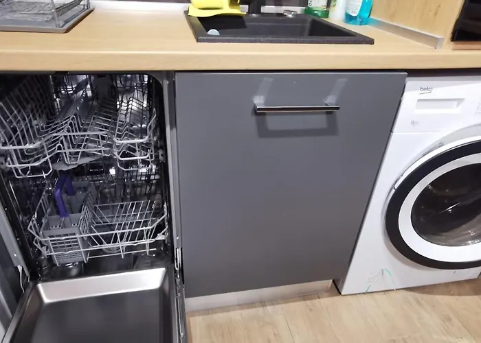 Sunflower ソフィア