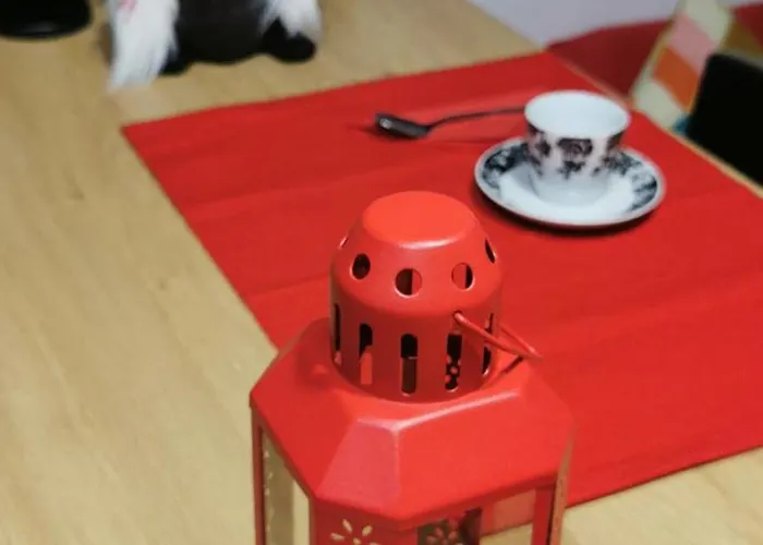 Sunflower * ソフィア