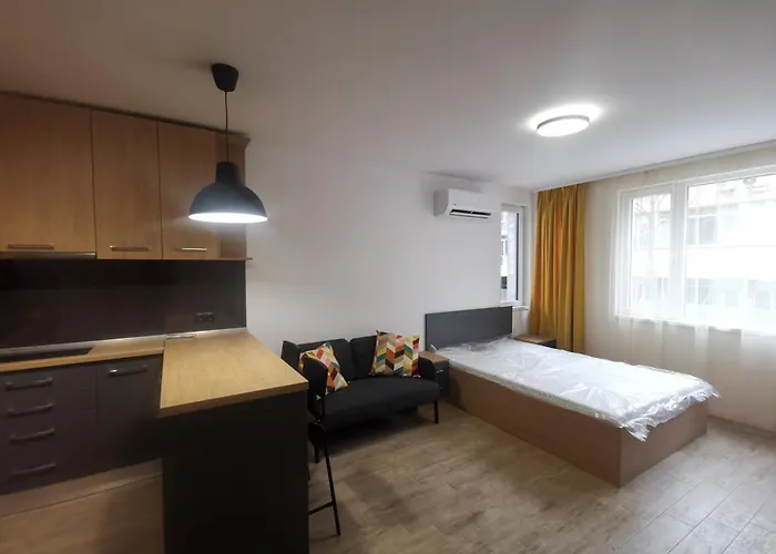 Sunflower * ソフィア