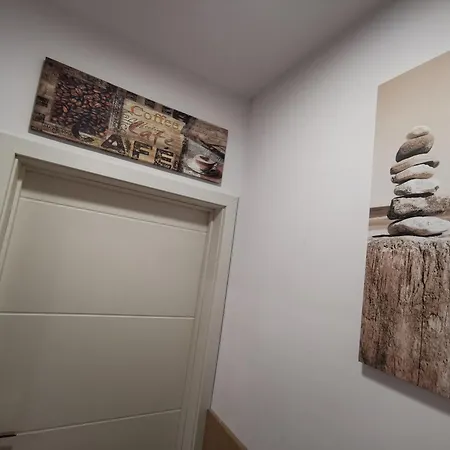 Sunflower * 索菲亞